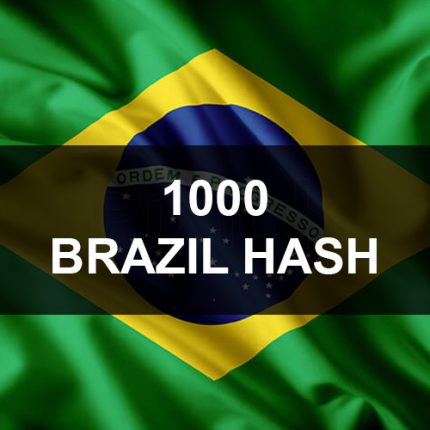 1000 Brazil WhatsApp Business Hash Channels