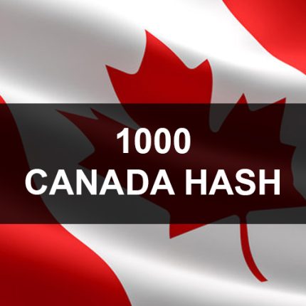 1000 Canada WhatsApp Business Hash Channels