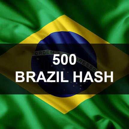 500 Brazil WhatsApp Business Hash Channels