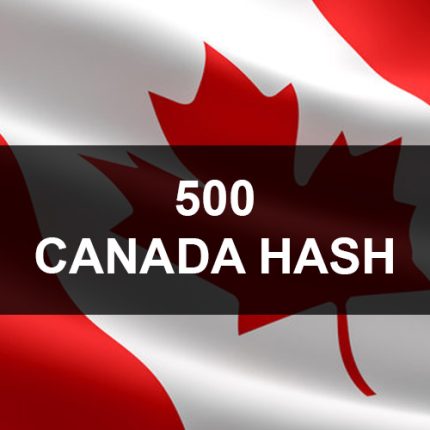 500 Canada WhatsApp Business Hash Channels