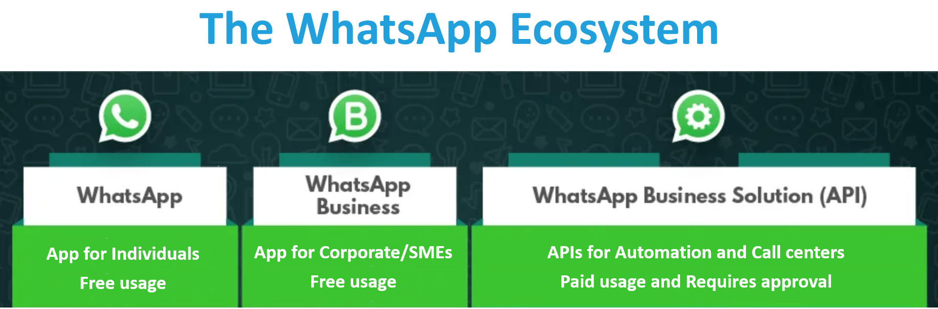 WhatsApp Ecosystem